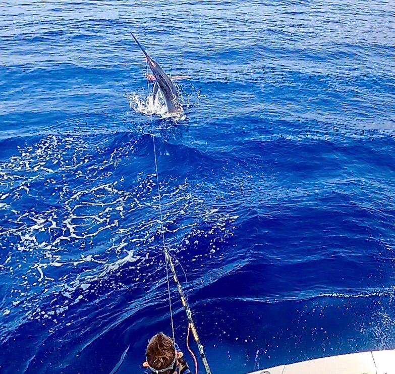 la graciosa Marlin