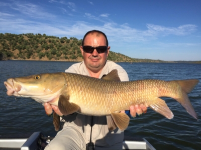 barbo-spagnolo-extremadura