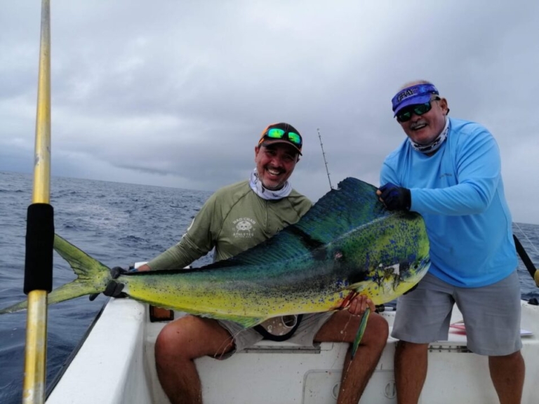 big-lampuga-colombia