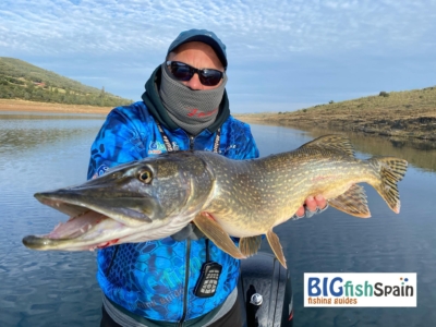 bigpike-extremadura