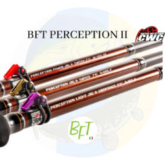 BFT PERCEPTION II