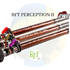 BFT Perception II