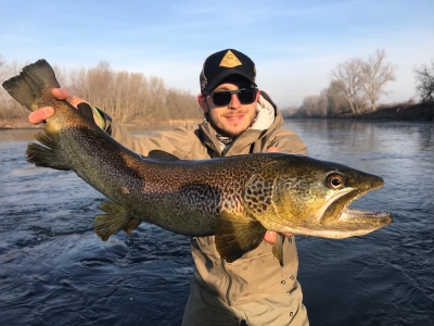 Davide guida ufficiale laghi e fiumi del Piemonte