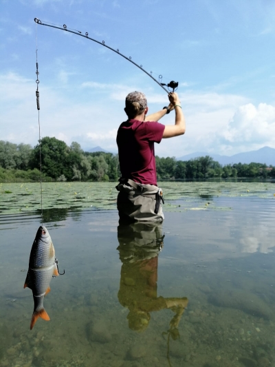 Davide guida ufficiale laghi e fiumi del Piemonte