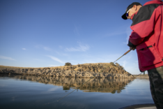 Simone team Manager Bft Italy a pesca embalse de la Orellana Extremadura 2021 con esca Vb lures 27 Lab