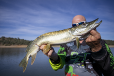 Simone embalse de la Orellana Extremadura 2021