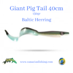 Giant Pig Tail Strike Pro