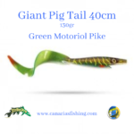 Giant Pig Tail Strike Pro